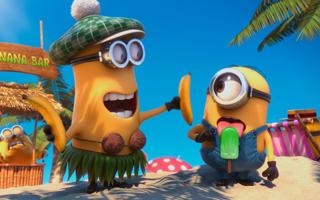 马卡比贾特巴卡